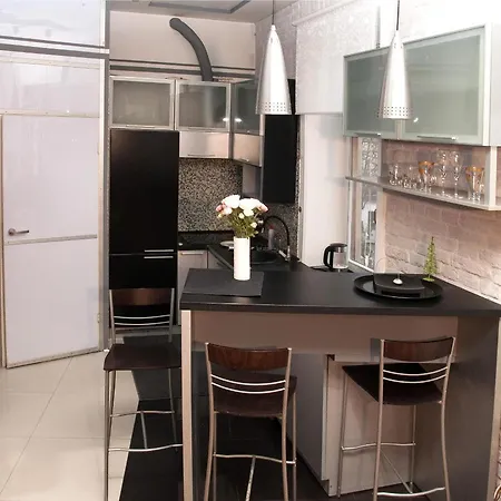 Apartment Apt In The Center Of The Town Near The Opera House Lviv
